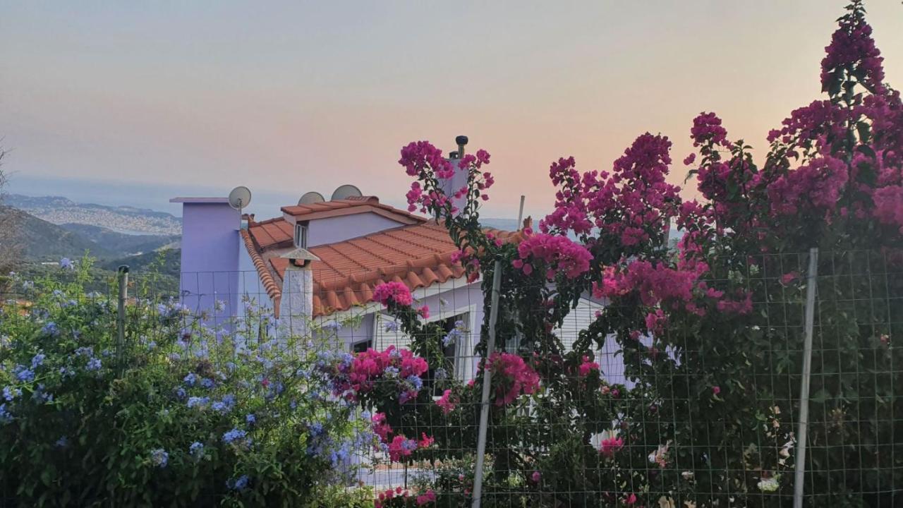Villa Kokos Dilinata ภายนอก รูปภาพ